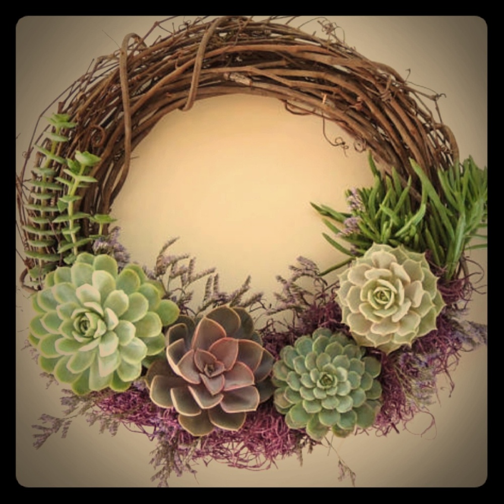 Bundle for Beverly brown